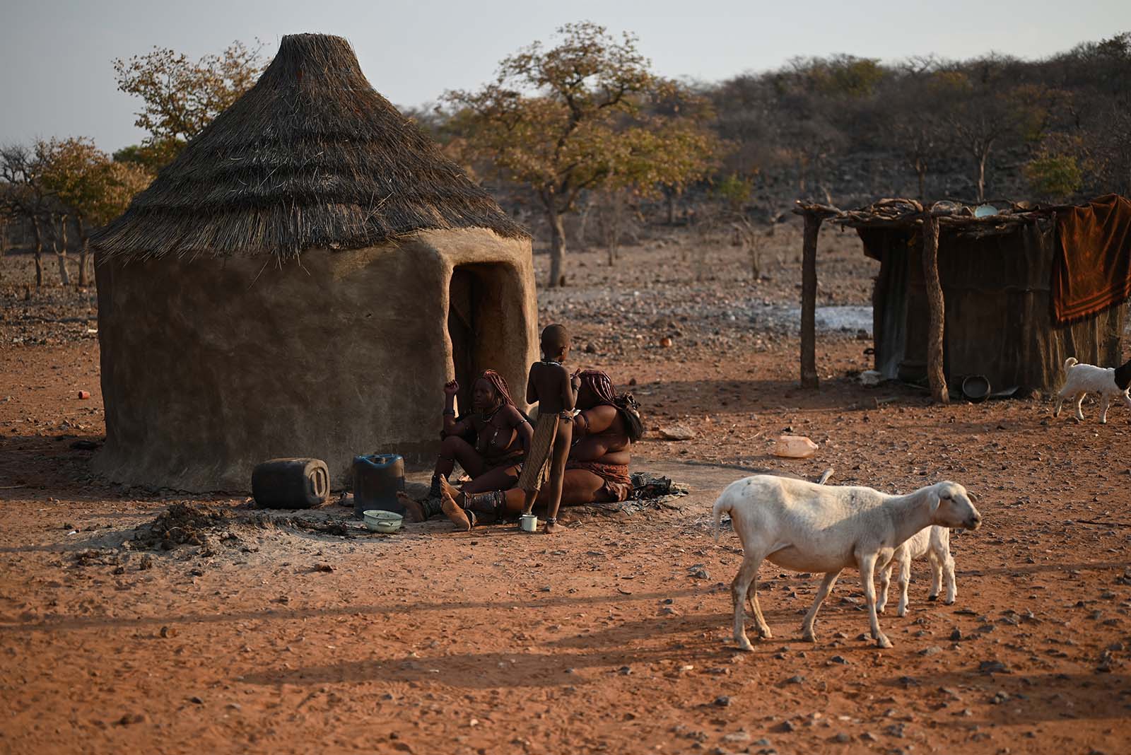Wohnhütte eines traditionellen Himba Dorfes
