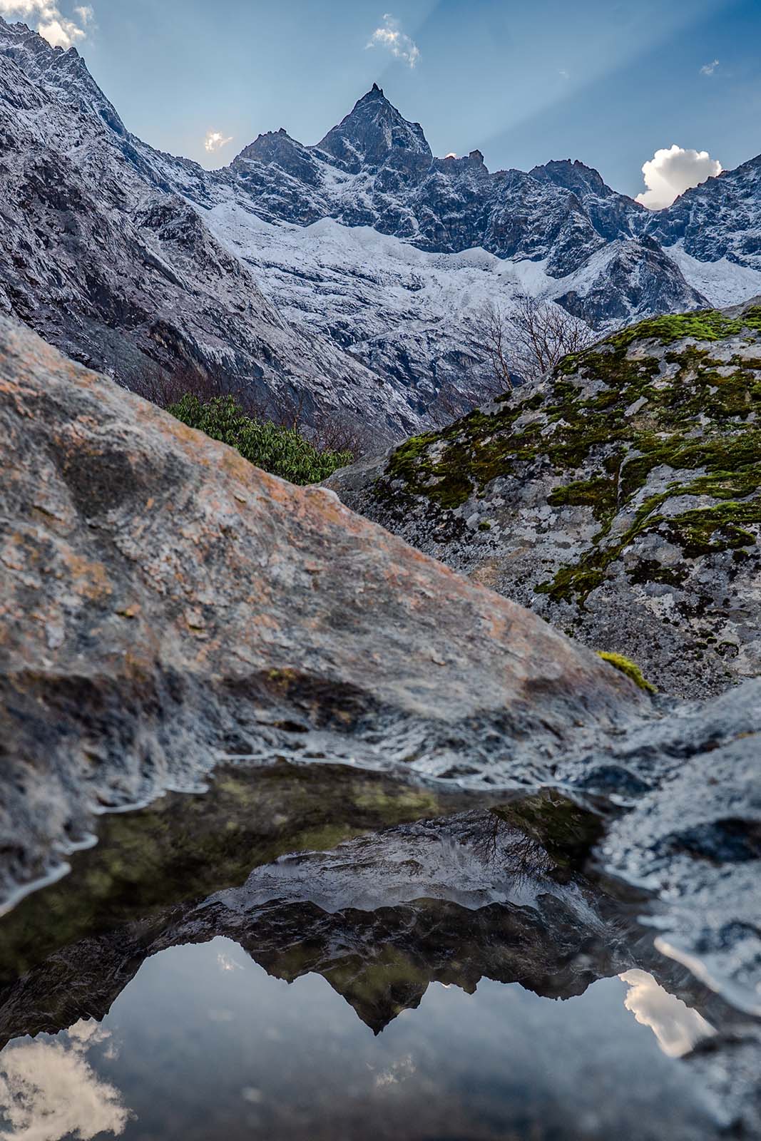 Grasbüschel in Wüstenlandschaft, Namibia Namib Naukluft Nationalpark